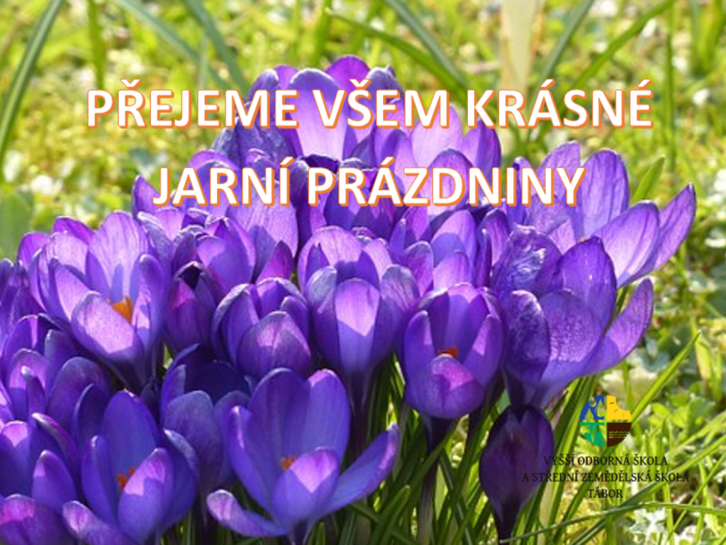 27-t-den-2-6-3-jarn-pr-zdniny-z-emila-z-topka-zl-n